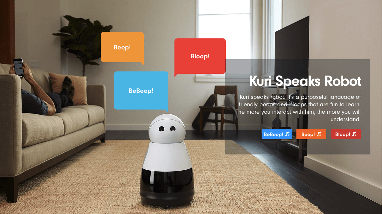 companion robot assistant